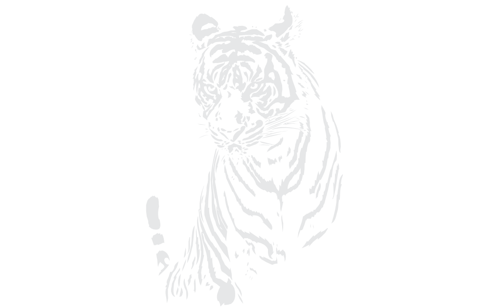 Tigre 1