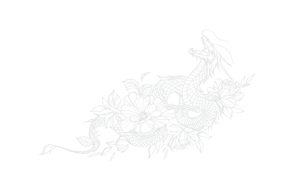 Dragão 2