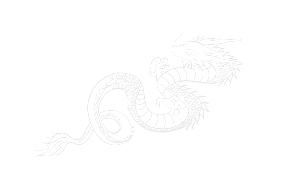 Dragão 3
