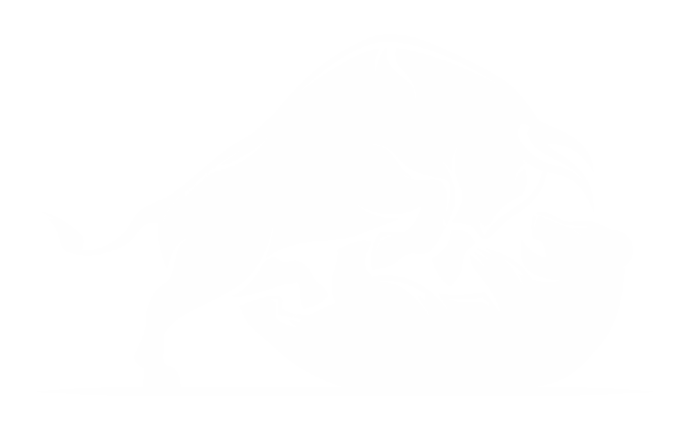 Bull & Bear 1