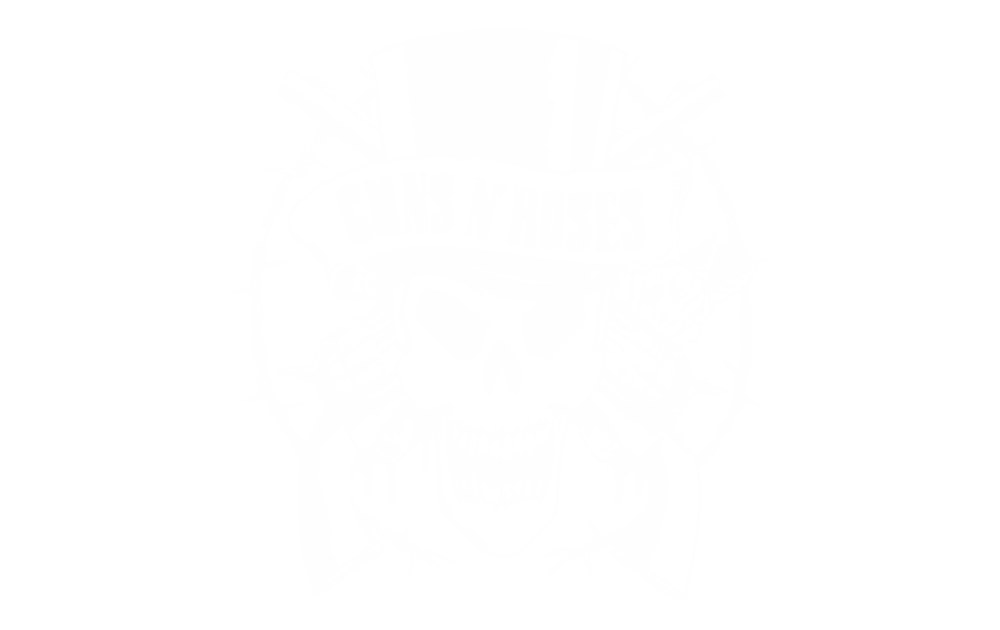 Guns n Roses 2