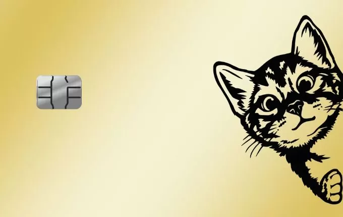 Gatinho 1
